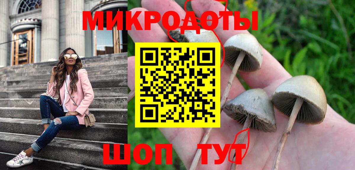 Псилоцибиновые грибы мицелий  Галлюциногенные грибы Psilocybine cubensis  Вятские Поляны  Вход с VPN 