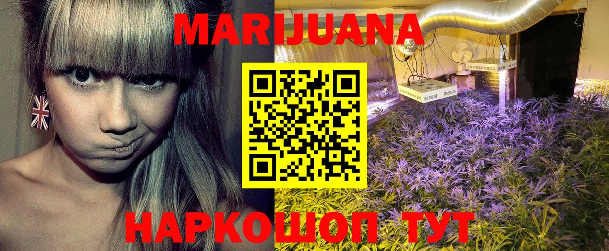 Бошки Шишки OG Kush Вятские Поляны